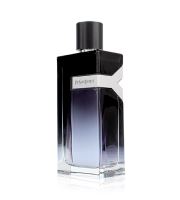 Yves Saint Laurent Y (1)