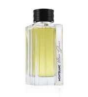 Montblanc Vetiver Glacier parfémovaná voda pro muže 125 ml (1)