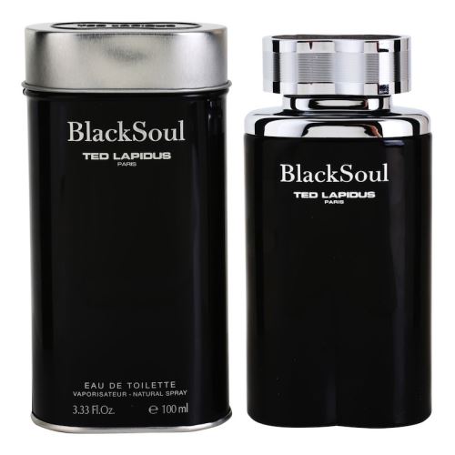 Ted Lapidus Black Soul toaletní voda 100 ml pro muže
