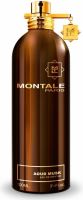 Montale Aoud Musk parfémovaná voda 100 ml unisex