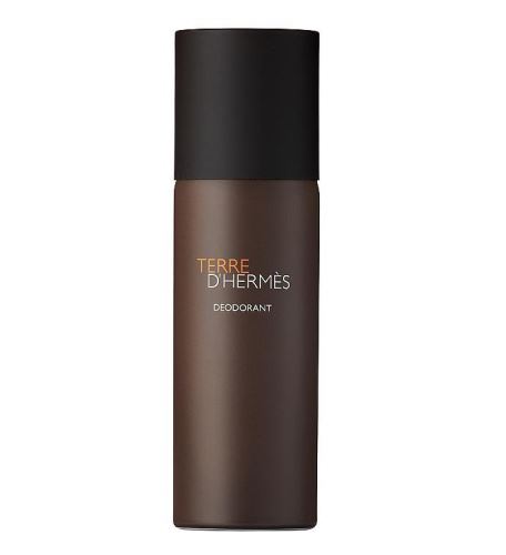 Hermés Terre D'Hermés deospray Pro muže 150 ml