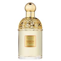 Guerlain Aqua Allegoria Pamplelune (1)